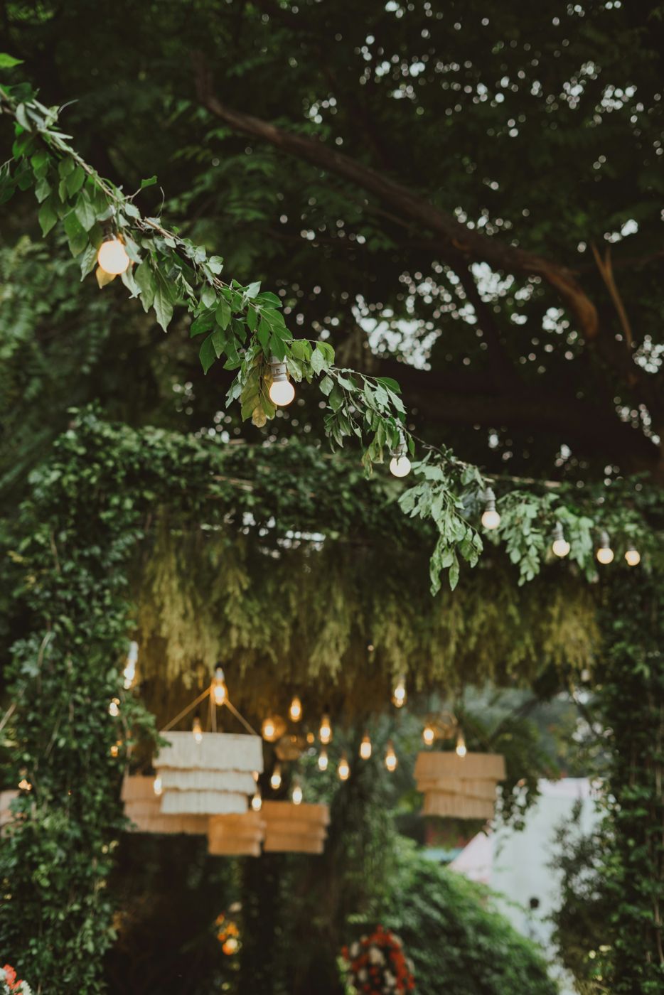 Garden lit with hanging lights